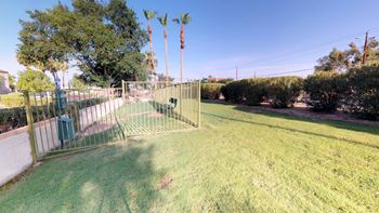 Dog park